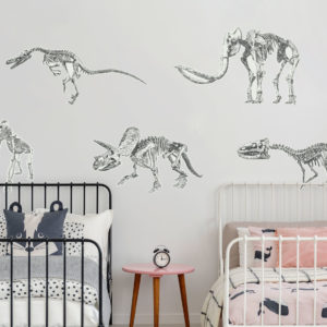 Dino Fossils | Kids Wall Decals | Grafico Melbourne