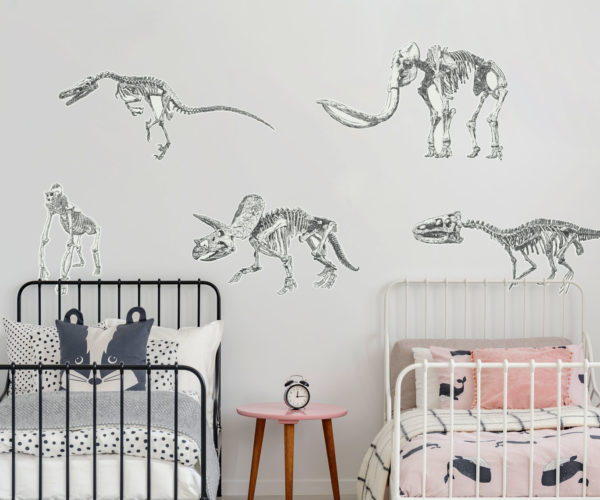 Dino Fossils | Kids Wall Decals | Grafico Melbourne