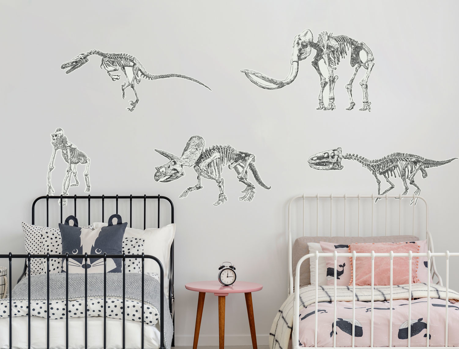 Dino Fossils | Kids Wall Decals
