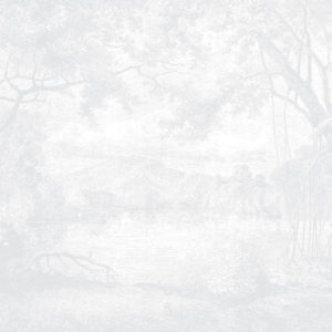 Enchanted Lagoon - Light Grey Wallpaper | Grafico Melbourne