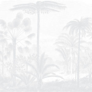 Amazon Palms - Light Grey Wallpaper | Grafico Melbourne