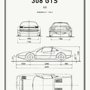 F-308GTS