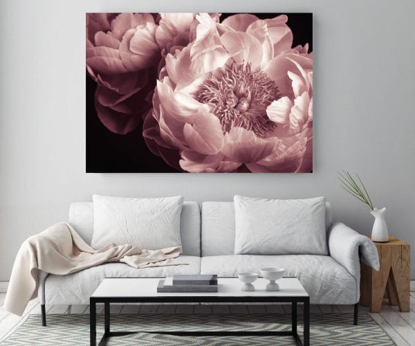 Peony Flowers - Pastel Pink Canvas