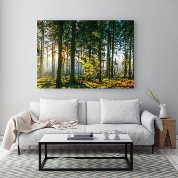 Sunrise_Forest_Canvas