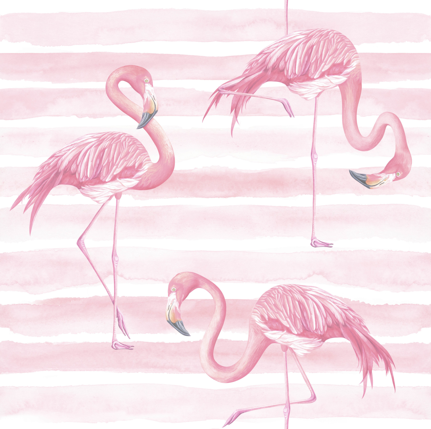 Flamingos Wallpaper | Grafico Melbourne