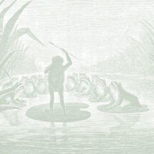 Frog Orchestra - Sage Green Wallpaper | Grafico Melbourne