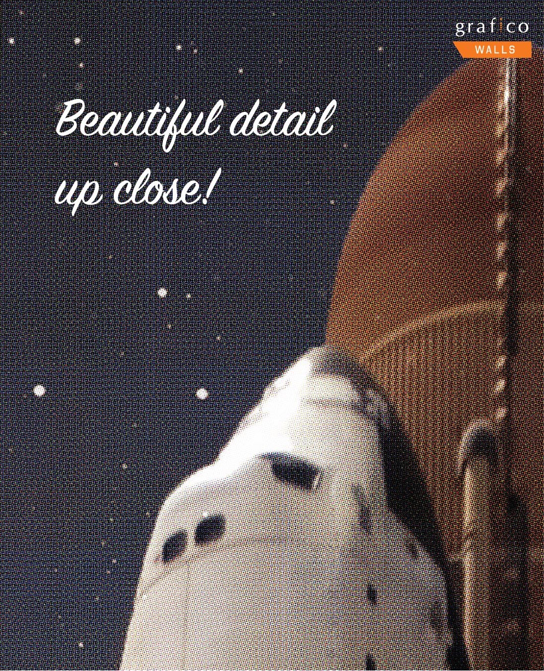 Galaxy Shuttle Wallpaper | Grafico Melbourne