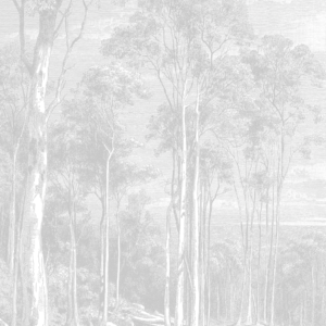 Giant Eucalypt - Light Grey Wallpaper | Grafico Melbourne