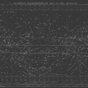 Celestial Star Map - Grey | Grafico Melbourne