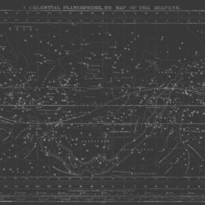 Celestial Star Map - Grey | Grafico Melbourne