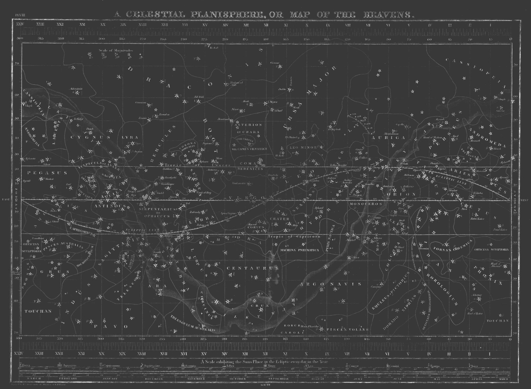 Celestial Star Map - Grey | Grafico Melbourne