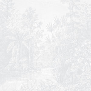 Hidden Oasis - Light Grey Wallpaper | Grafico Melbourne