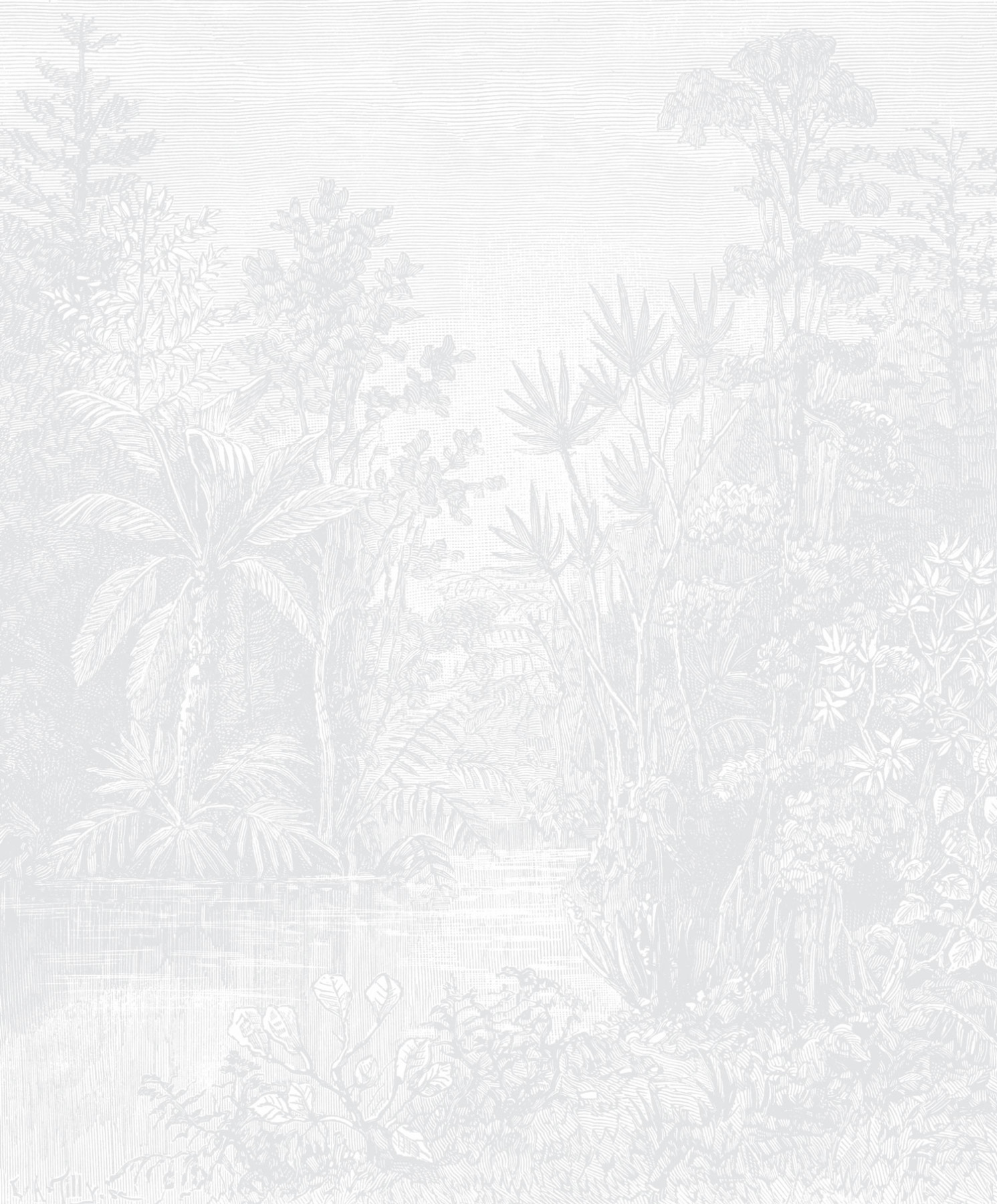 Hidden Oasis - Light Grey Wallpaper | Grafico Melbourne