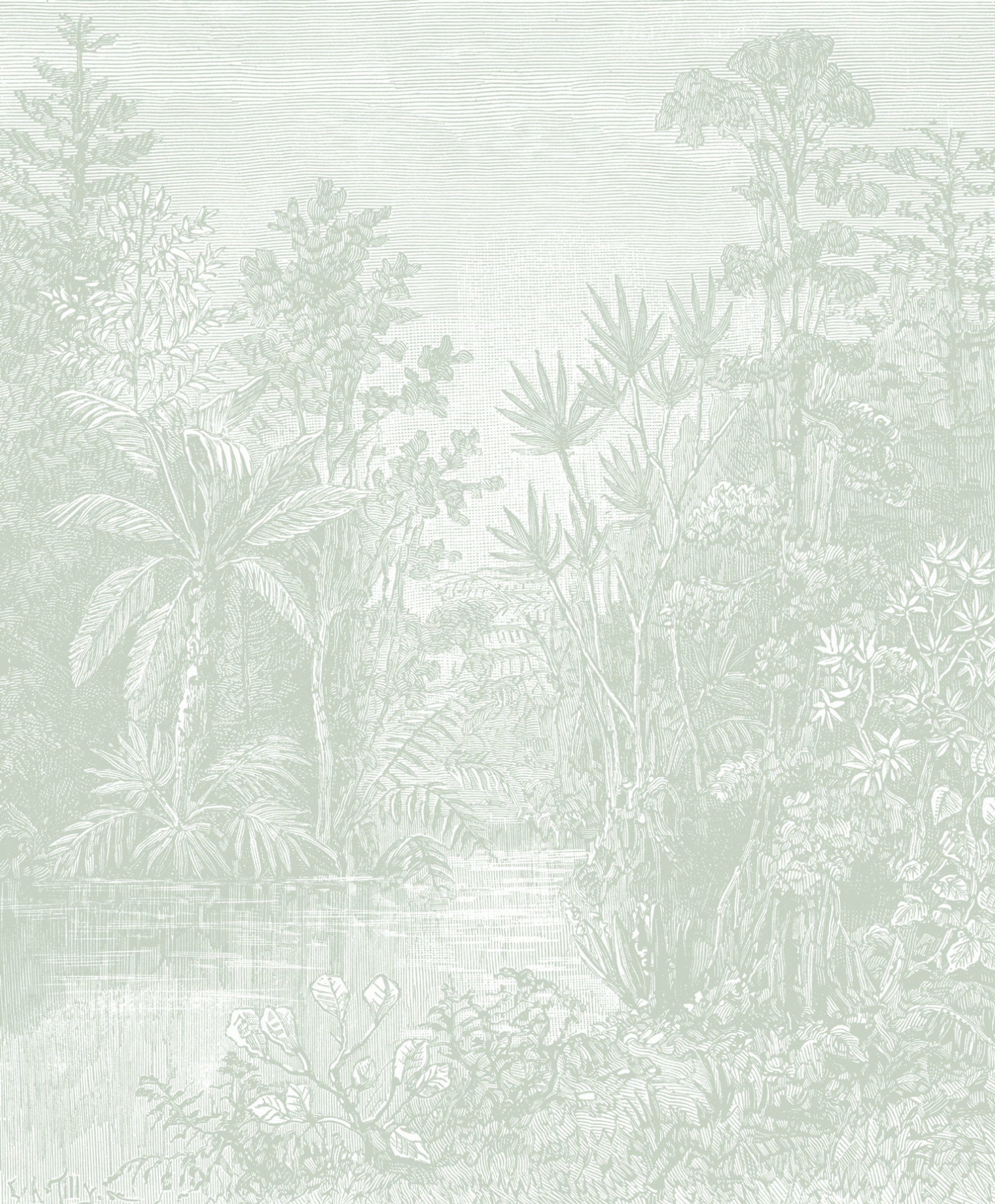 Hidden Oasis - Sage Green Wallpaper | Grafico Melbourne