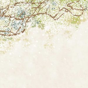 InBloom-Summer-01