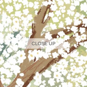 InBloom-Summer-02