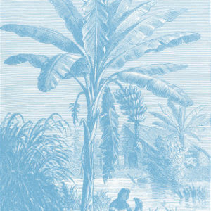Coastal Palm - Blue - Type 2 | Grafico Melbourne