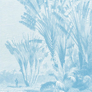 Coastal Palm - Blue - Type 1 | Grafico Melbourne