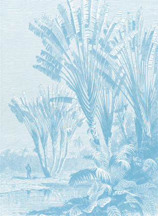 Coastal Palm - Blue - Type 1 | Grafico Melbourne