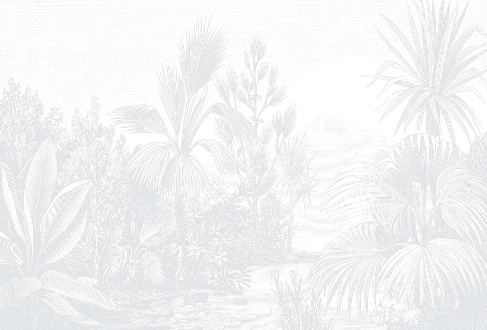 Lush Tropicale - Light Grey Wallpaper | Grafico Melbourne