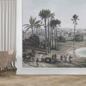 Madras Palm Wallpaper | Grafico Melbourne