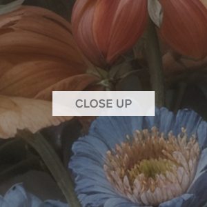Midnight-Bloom-03