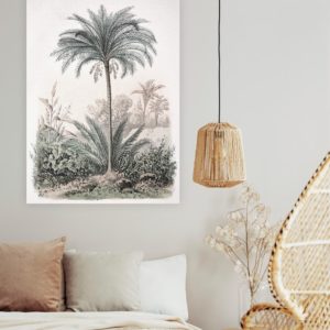 Palm Lithograph | Print | Stretched Canvas or Printed Panel | Grafico Melbourne