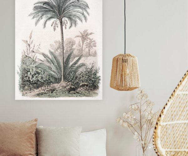 Palm Lithograph | Print | Stretched Canvas or Printed Panel | Grafico Melbourne