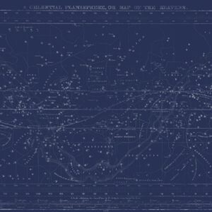 Celestial Star Map - Navy | Grafico Melbourne