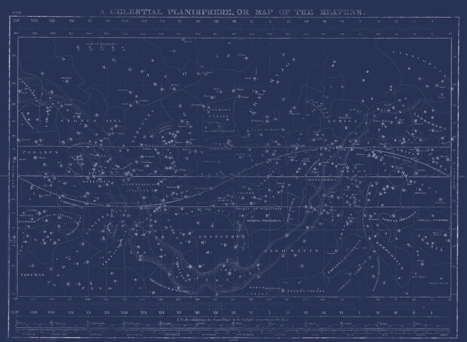 Celestial Star Map - Navy | Grafico Melbourne