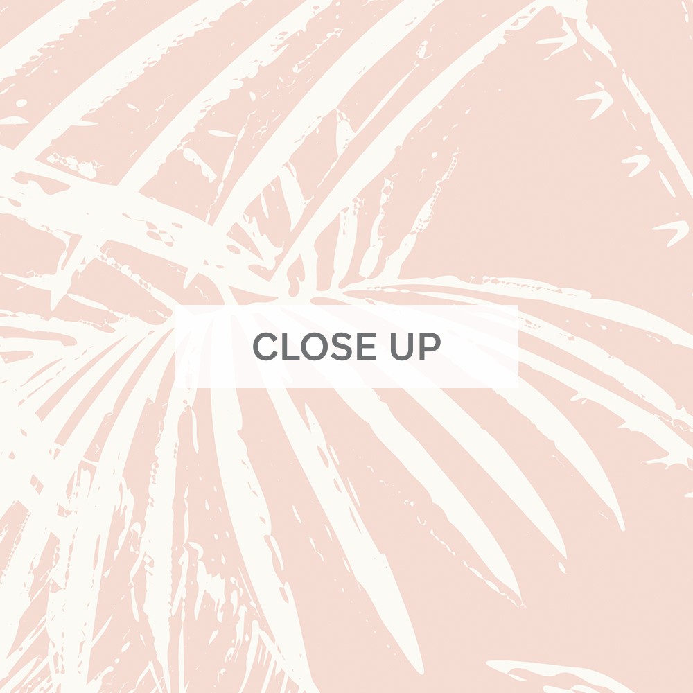 Noosa-Palms-Blush-02