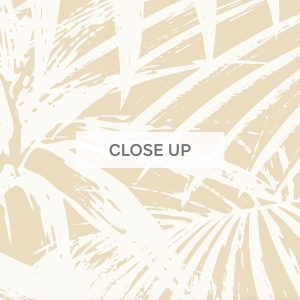 Noosa-Palms-Gold-02