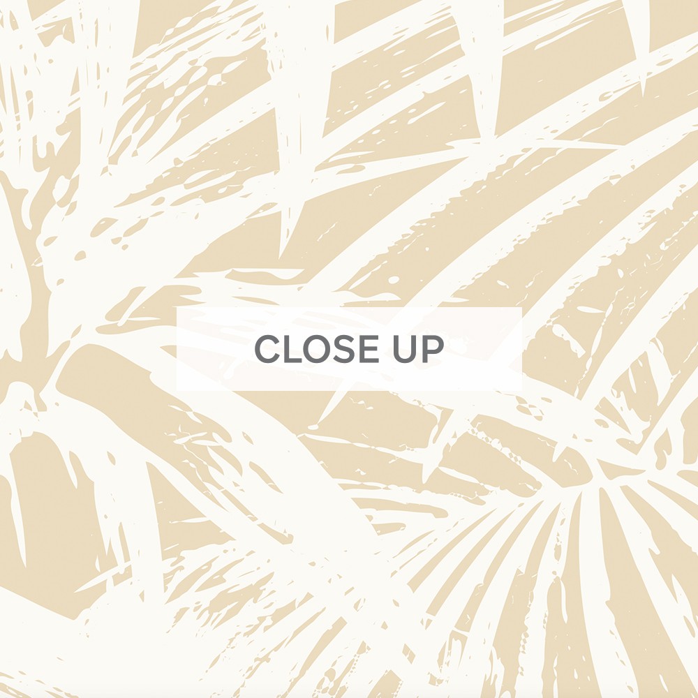 Noosa-Palms-Gold-02