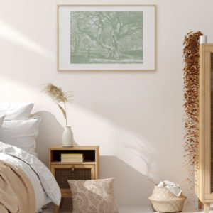 Olive Tree - Green Sage | Print | Stretched Canvas or Printed Panel | Grafico Melbourne