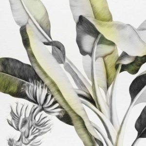 Tropical Palm - Detail | Grafico Melbourne