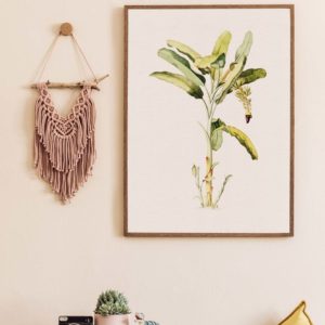 Tropical Palm - Detail Print Series| Grafico Melbourne