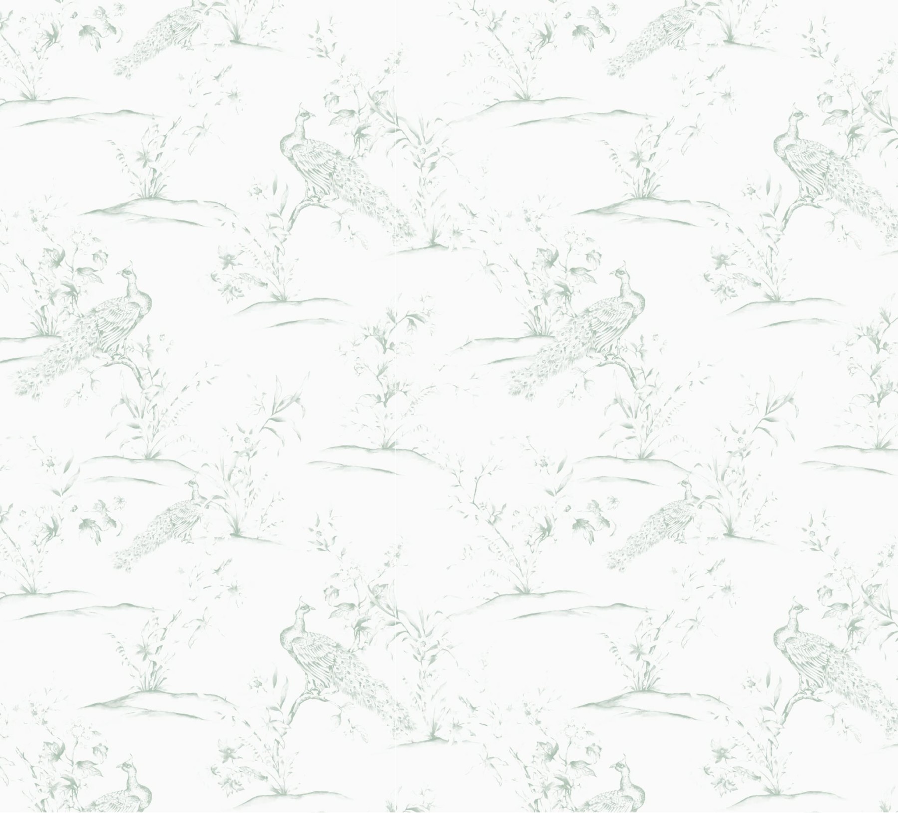 Peacocks - Sage Green Wallpaper | Grafico Melbourne