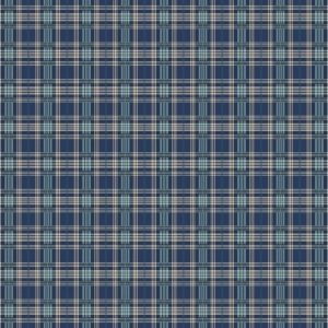 Plaid - Blue & Aqua-04
