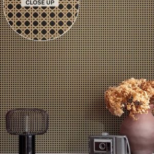 Rattan-Black-01