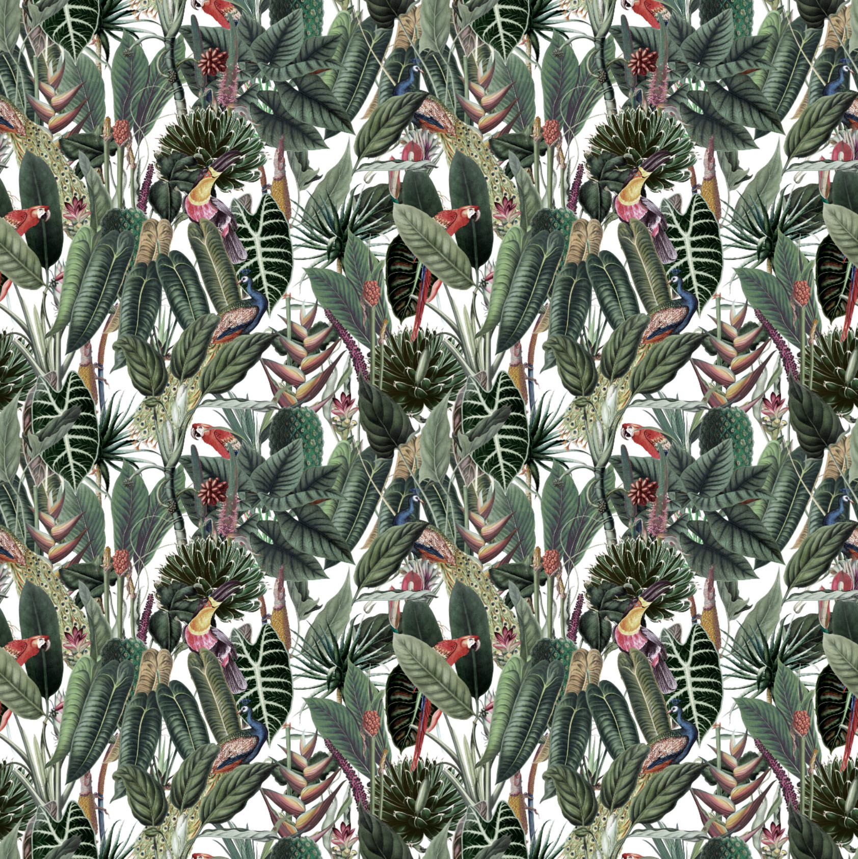 Club Tropicana Wallpaper | Grafico Melbourne