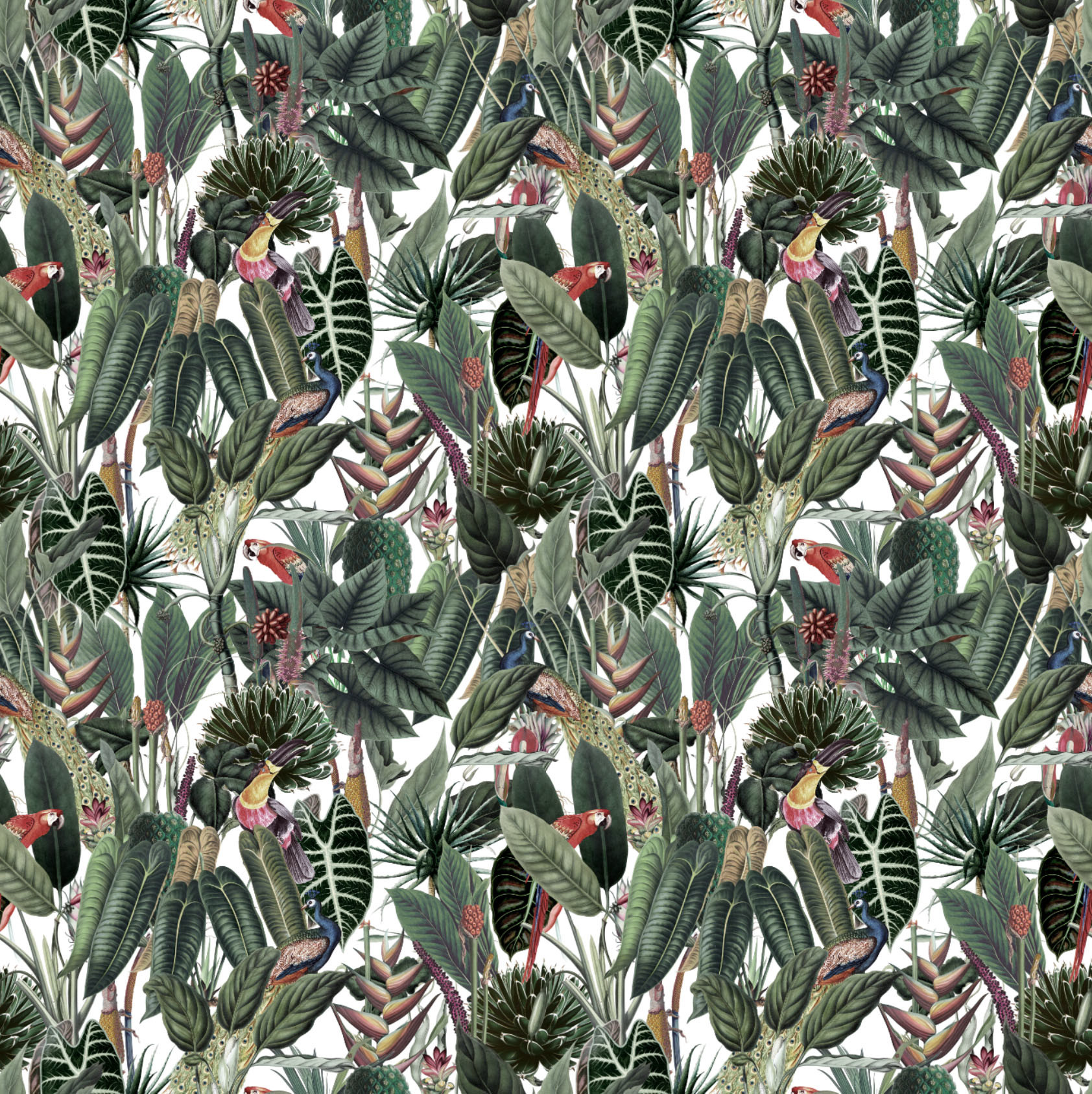 Club Tropicana Wallpaper | Grafico Melbourne