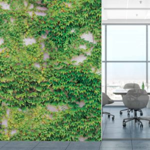 Scattered Ivy Wallpaper | Grafico Melbourne