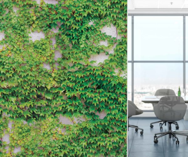 Scattered Ivy Wallpaper | Grafico Melbourne