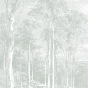 Giant Eucalypt - Light Green Wallpaper | Grafico Melbourne