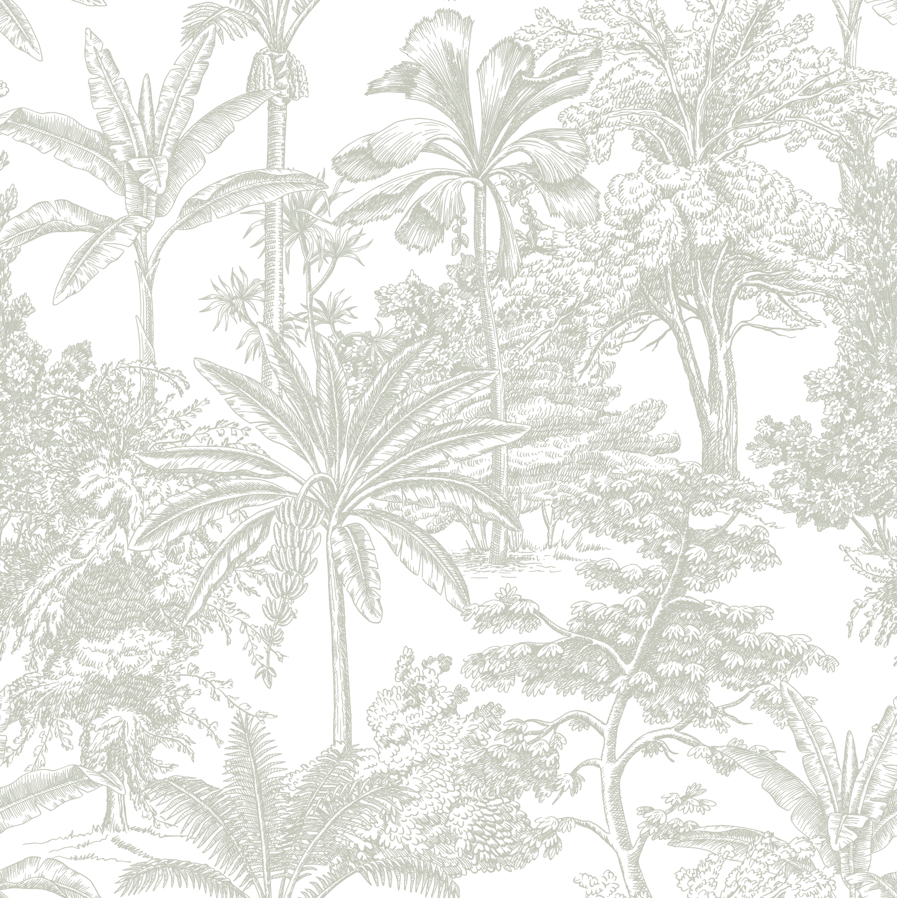 Tropicale - Sage Wallpaper | Grafico Melbourne