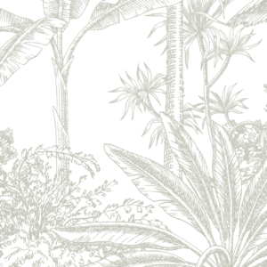 Tropicale - Sage Wallpaper | Grafico Melbourne