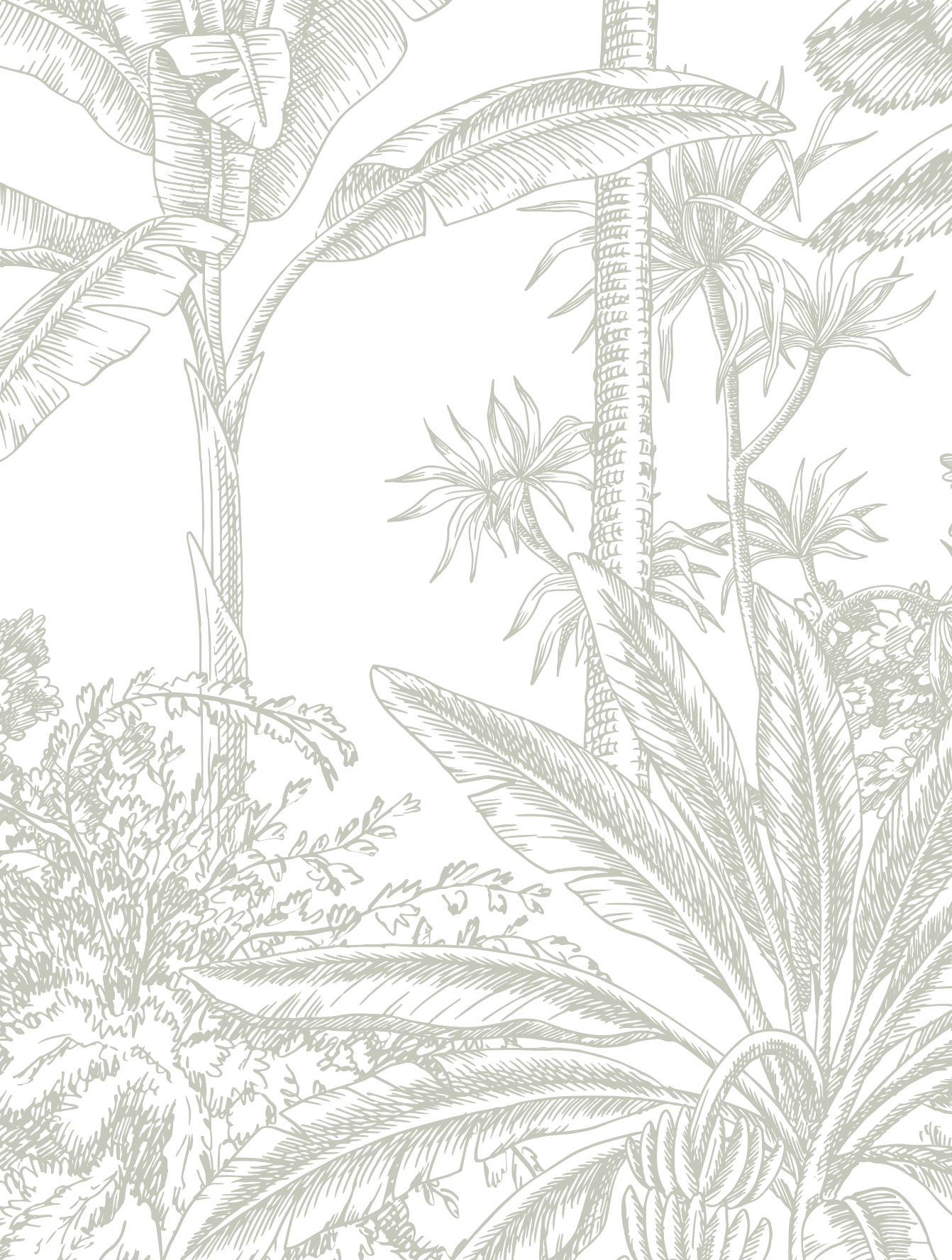 Tropicale - Sage Wallpaper | Grafico Melbourne