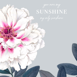 You Are My Sunshine - Light Blue Set | Grafico Melbourne