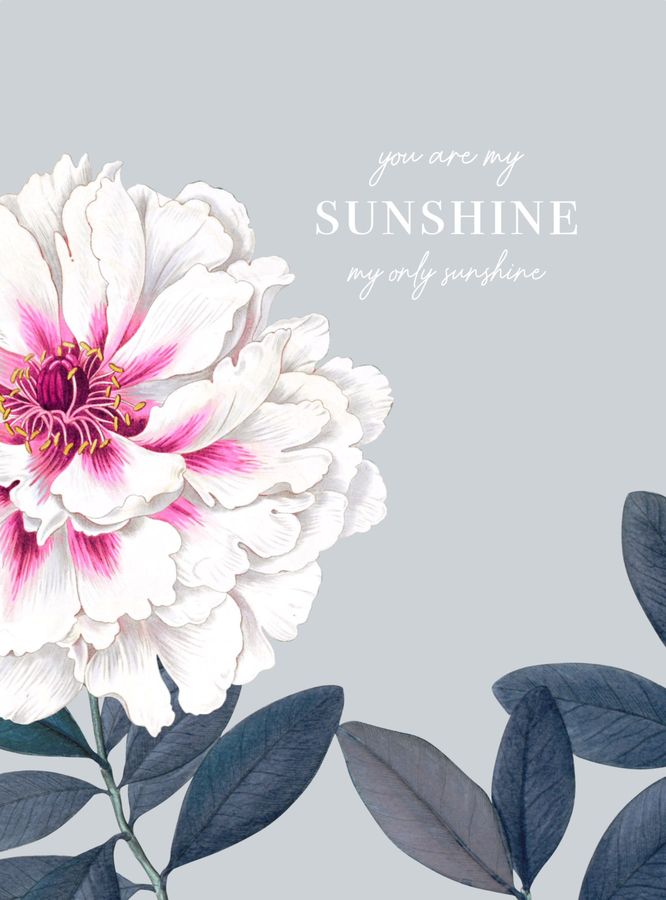 You Are My Sunshine - Light Blue Set | Grafico Melbourne