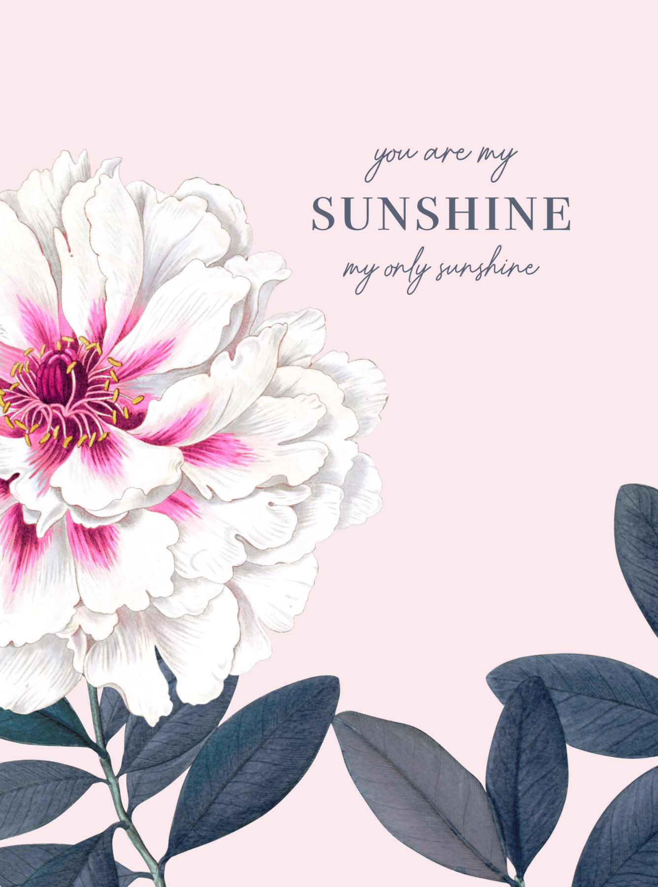 You Are My Sunshing - Pink Set | Grafico Melbourne